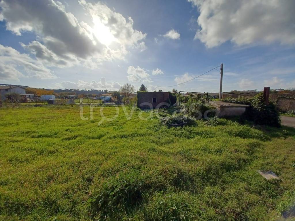 immagine annuncio 8 di 13