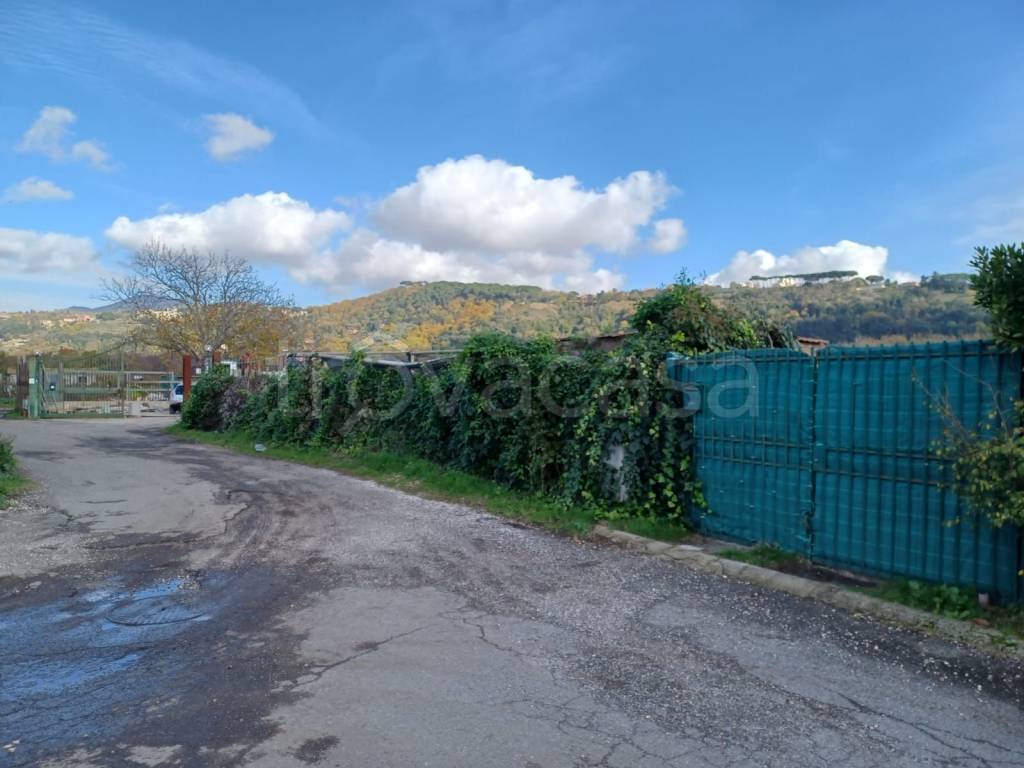 immagine annuncio 10 di 13