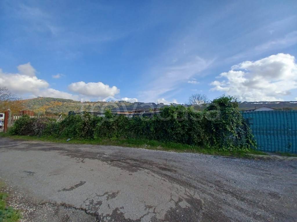 immagine annuncio 12 di 13