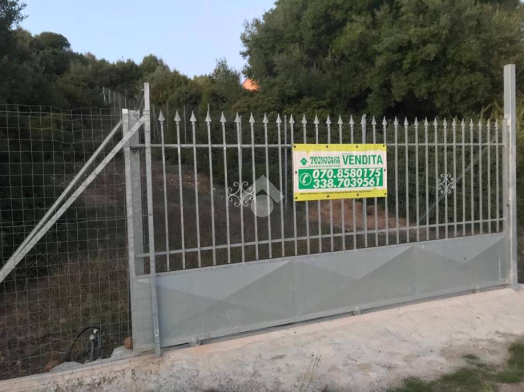 immagine annuncio 3 di 11