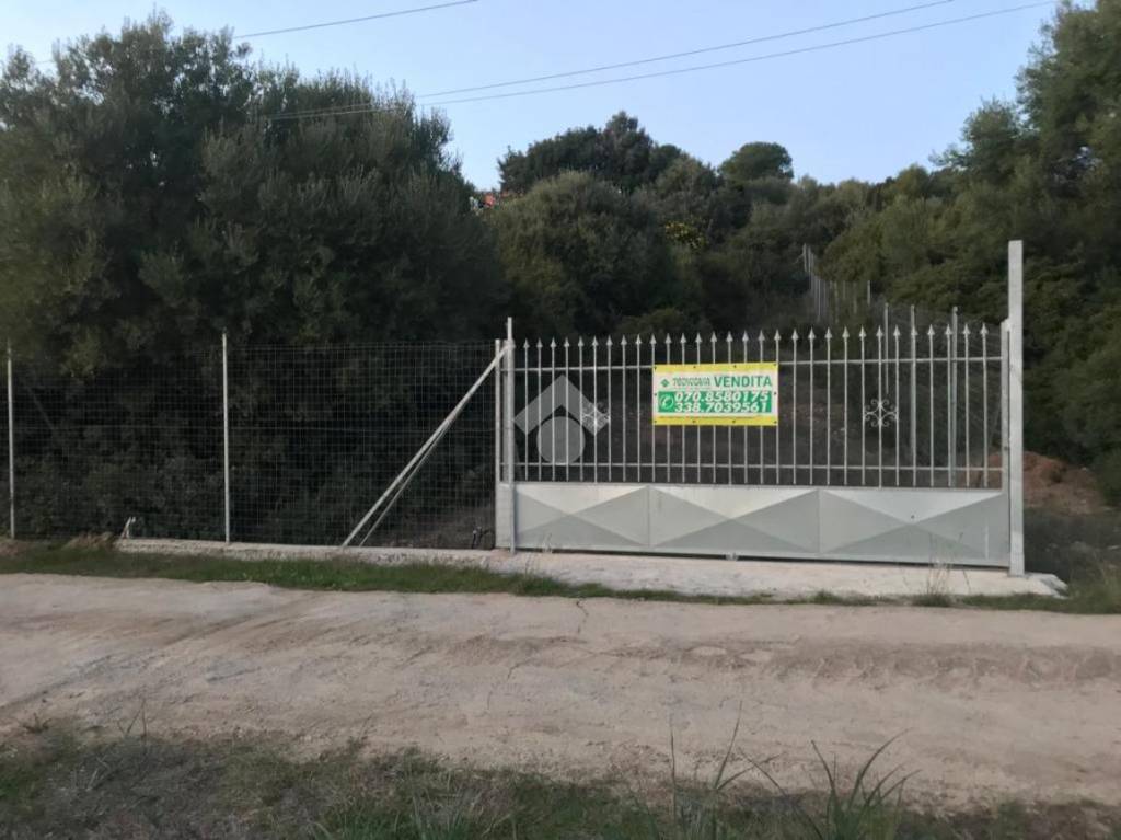 immagine annuncio 4 di 11