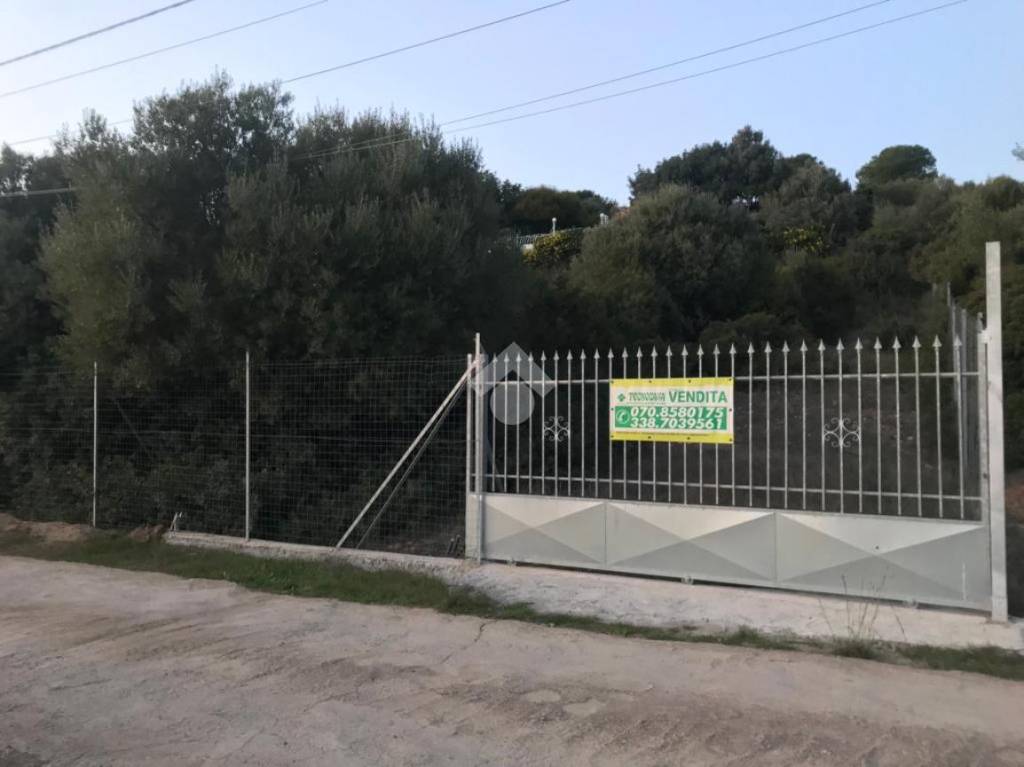 immagine annuncio 5 di 11
