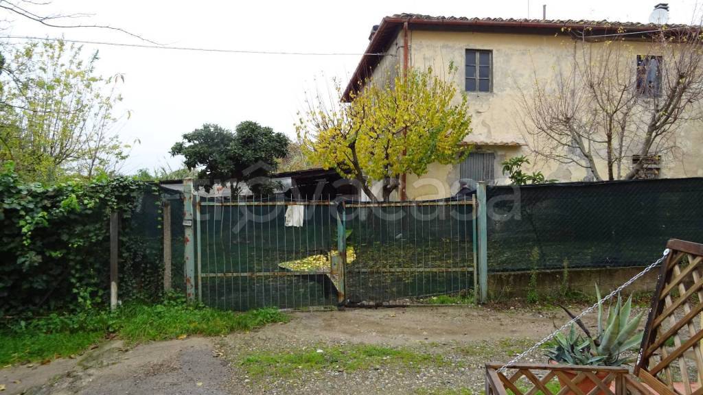 immagine annuncio 12 di 13