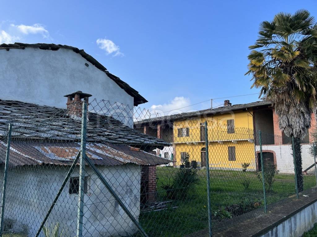 immagine annuncio 12 di 15