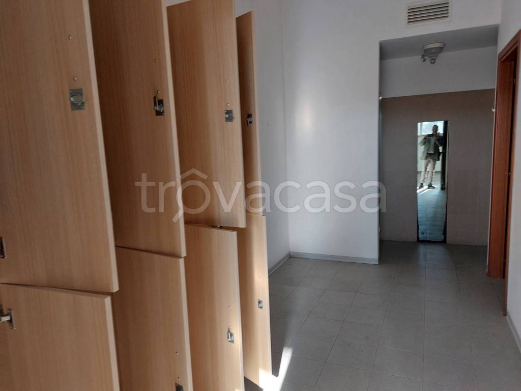 immagine annuncio 5 di 13