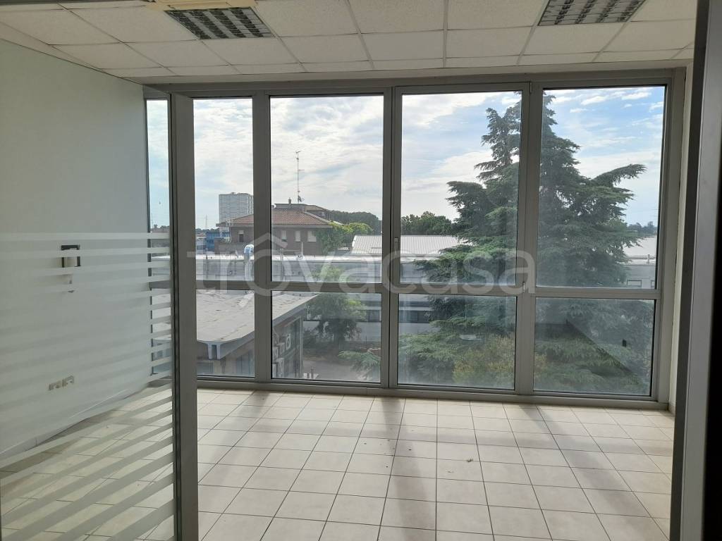 immagine annuncio 9 di 12