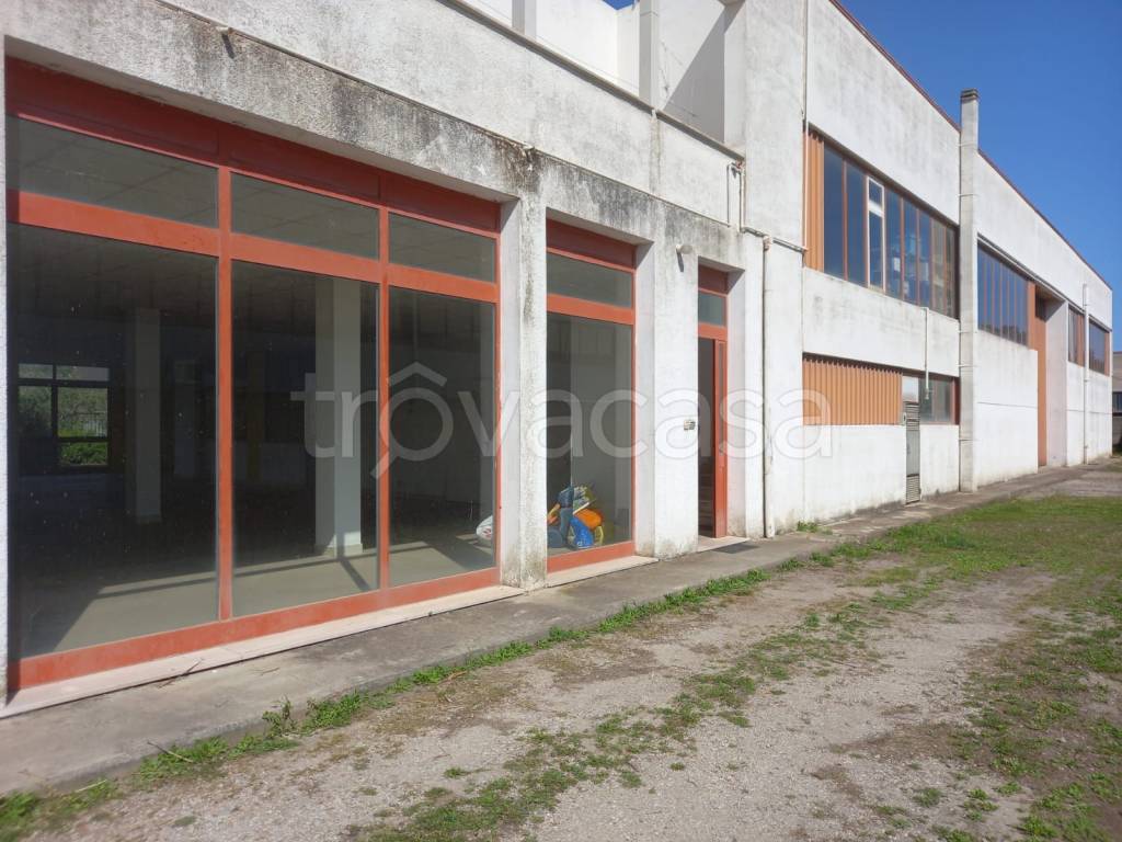 immagine annuncio 9 di 12