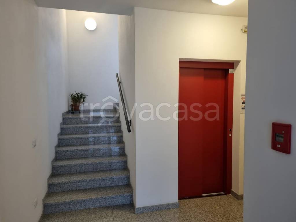 immagine annuncio 5 di 8