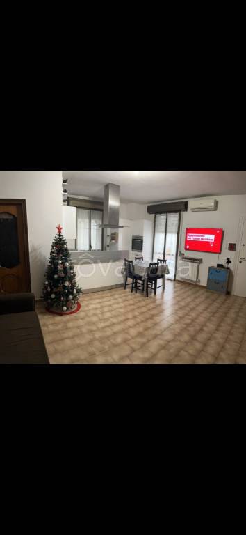 Appartamento in in vendita da privato a Casteldidone via Alessandro Manzoni, 41