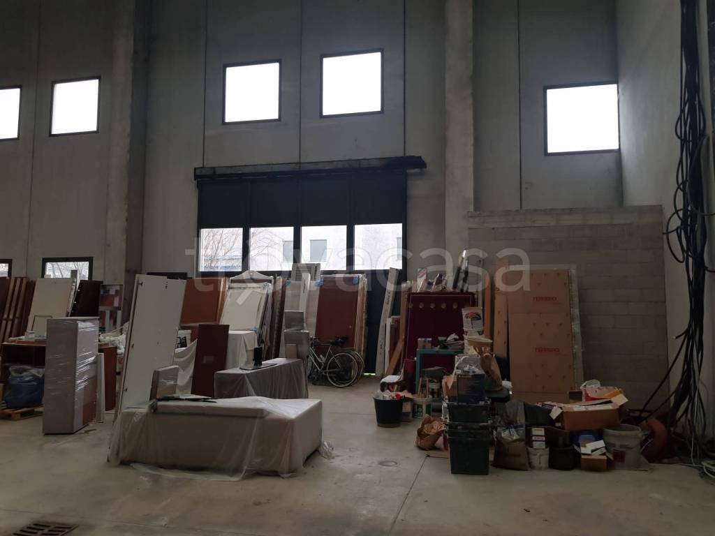 immagine annuncio 12 di 15