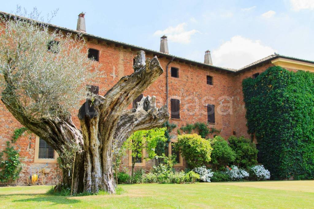 immagine annuncio 2 di 15