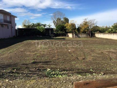 Terreno Agricolo in affitto a Marigliano via Pasubio