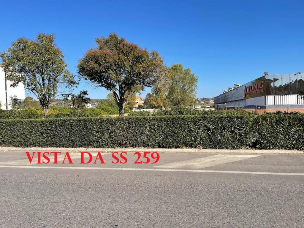 immagine annuncio 2 di 11