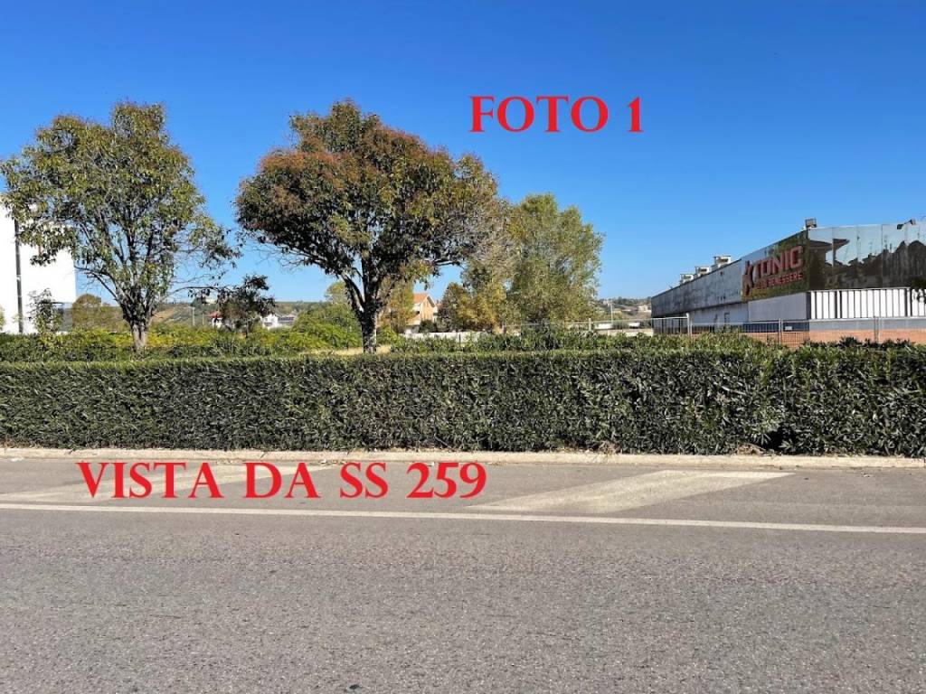 immagine annuncio 7 di 11