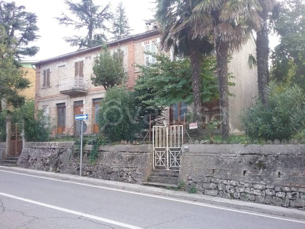 immagine annuncio 4 di 6