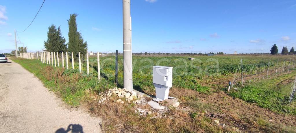 immagine annuncio 1 di 11