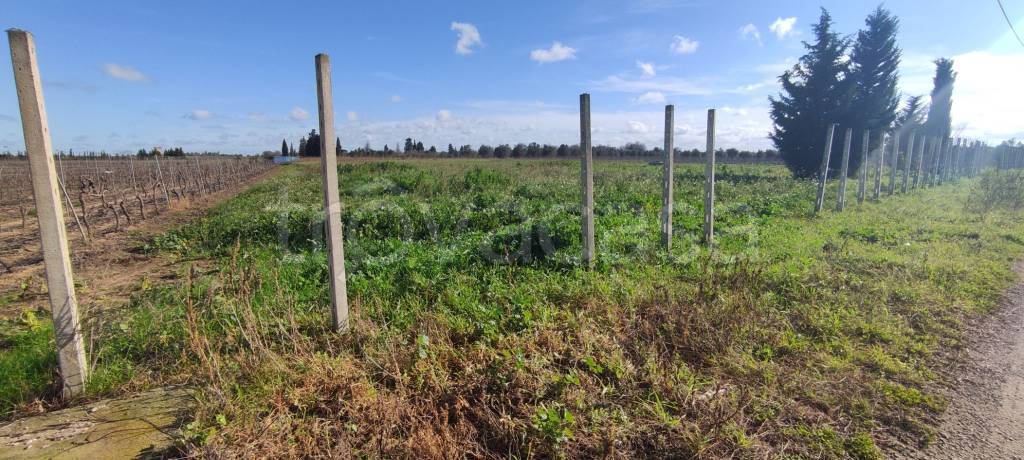 immagine annuncio 4 di 11