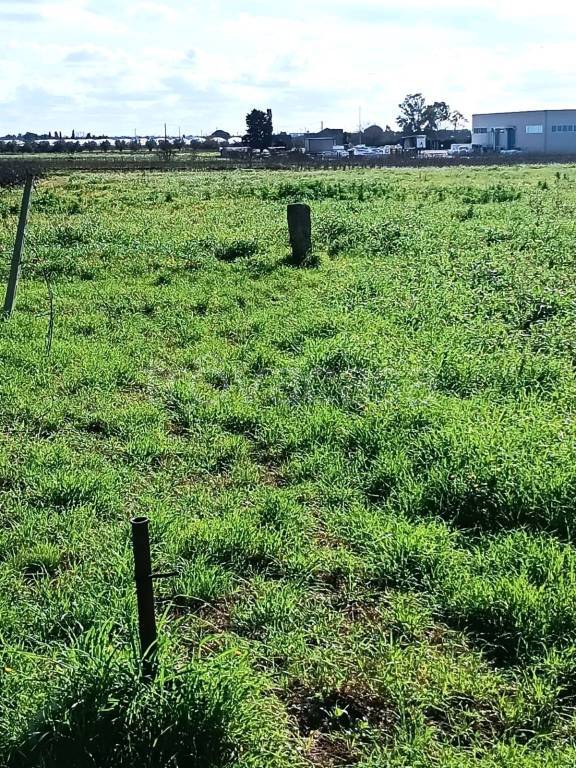 immagine annuncio 8 di 11