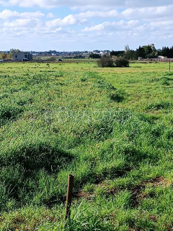 immagine annuncio 9 di 11