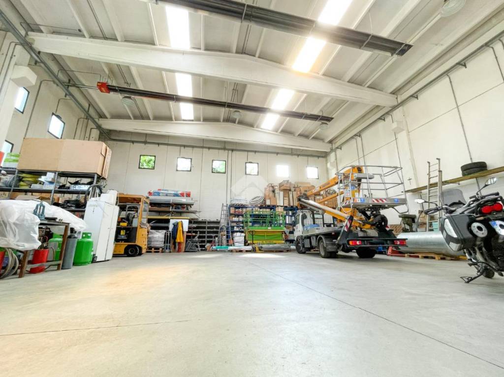 immagine annuncio 9 di 15