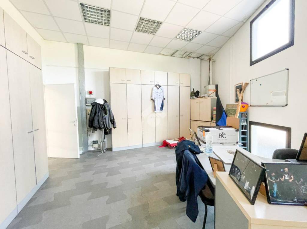 immagine annuncio 11 di 15