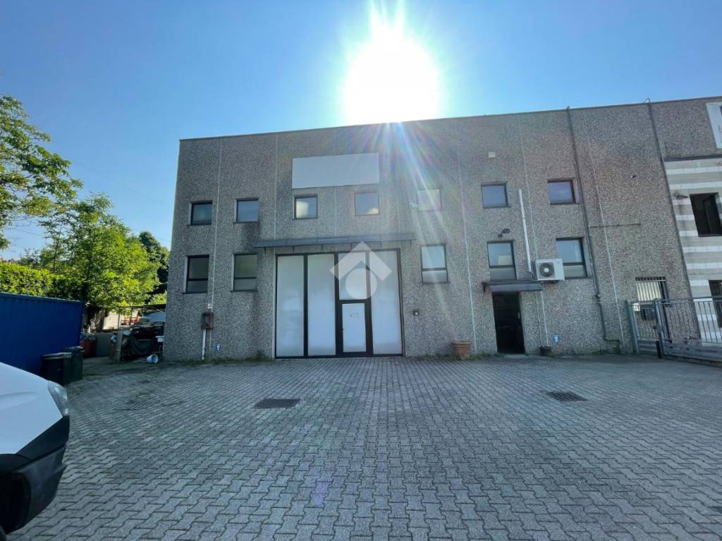 immagine annuncio 5 di 15