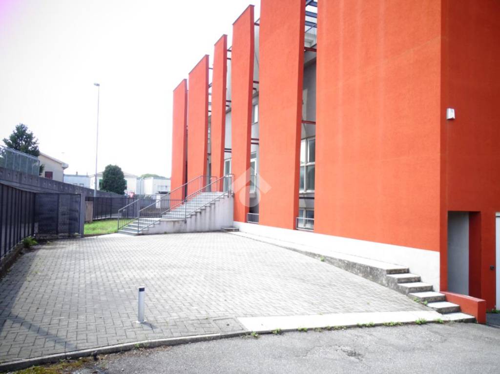 immagine annuncio 9 di 15