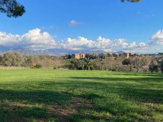 Terreno agricolo in affitto a cisterna di latina via papa giovanni xxiii, 23