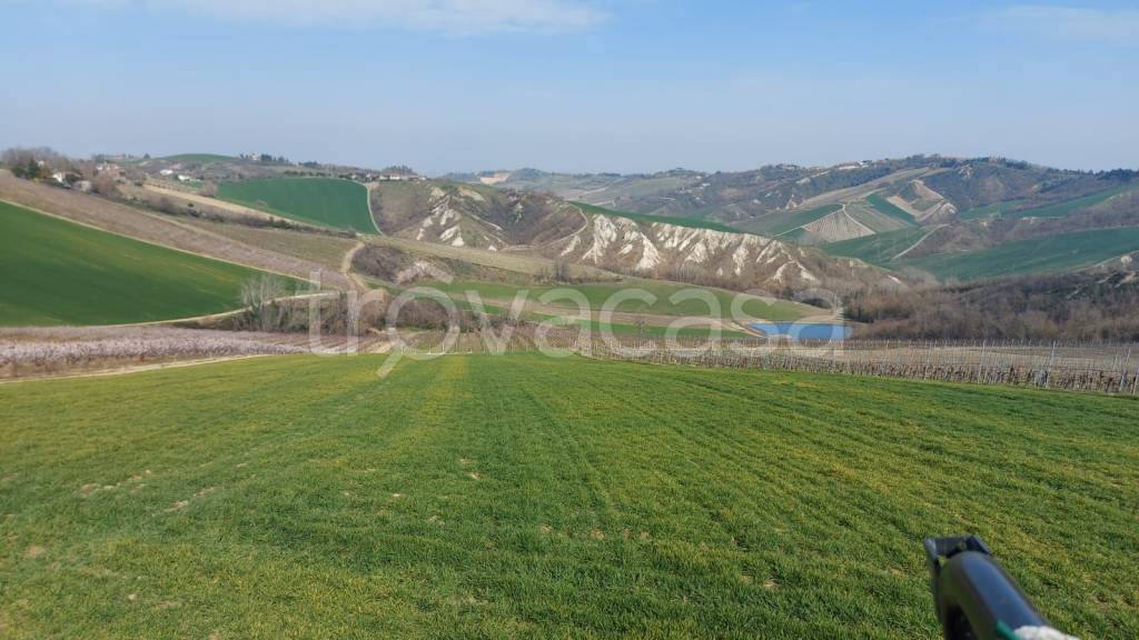 Terreno Agricolo in vendita a Riolo Terme via Caduti di Toranello