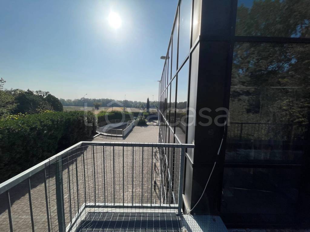 immagine annuncio 7 di 13