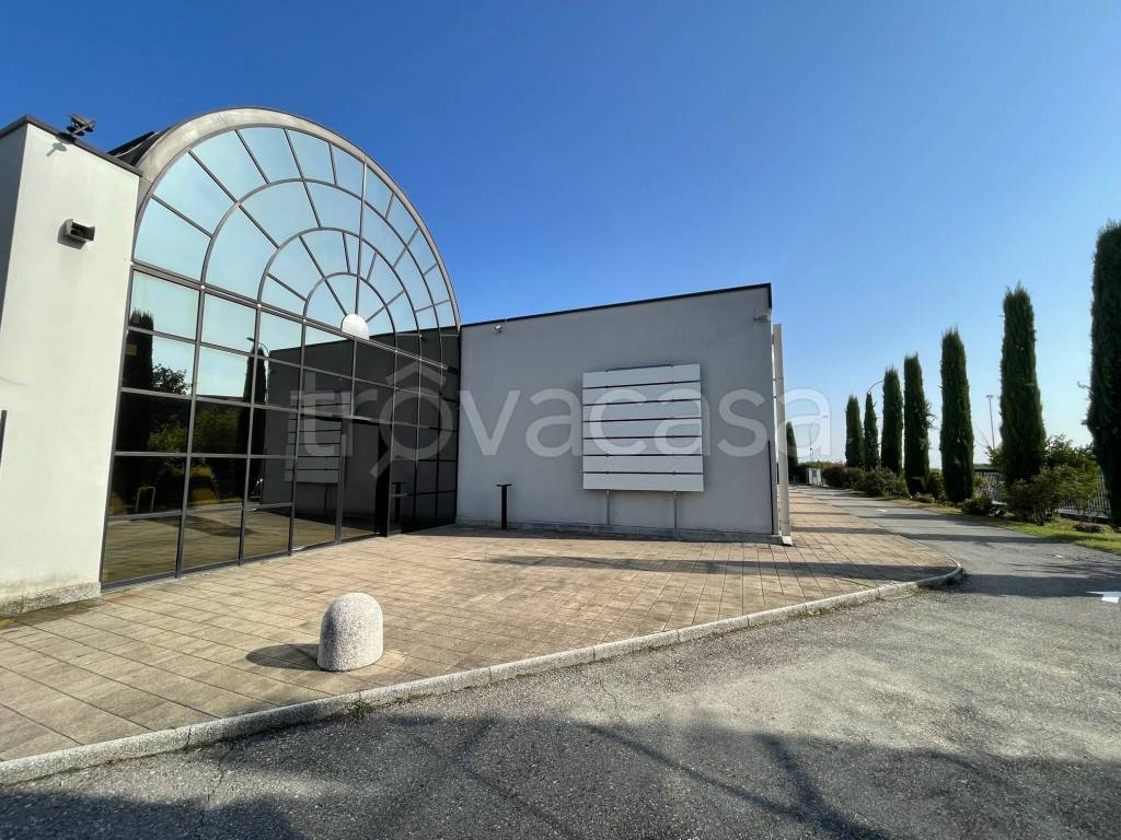 immagine annuncio 1 di 13