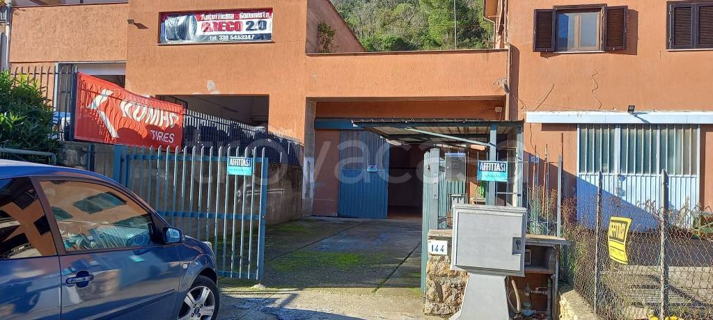 immagine annuncio 1 di 12