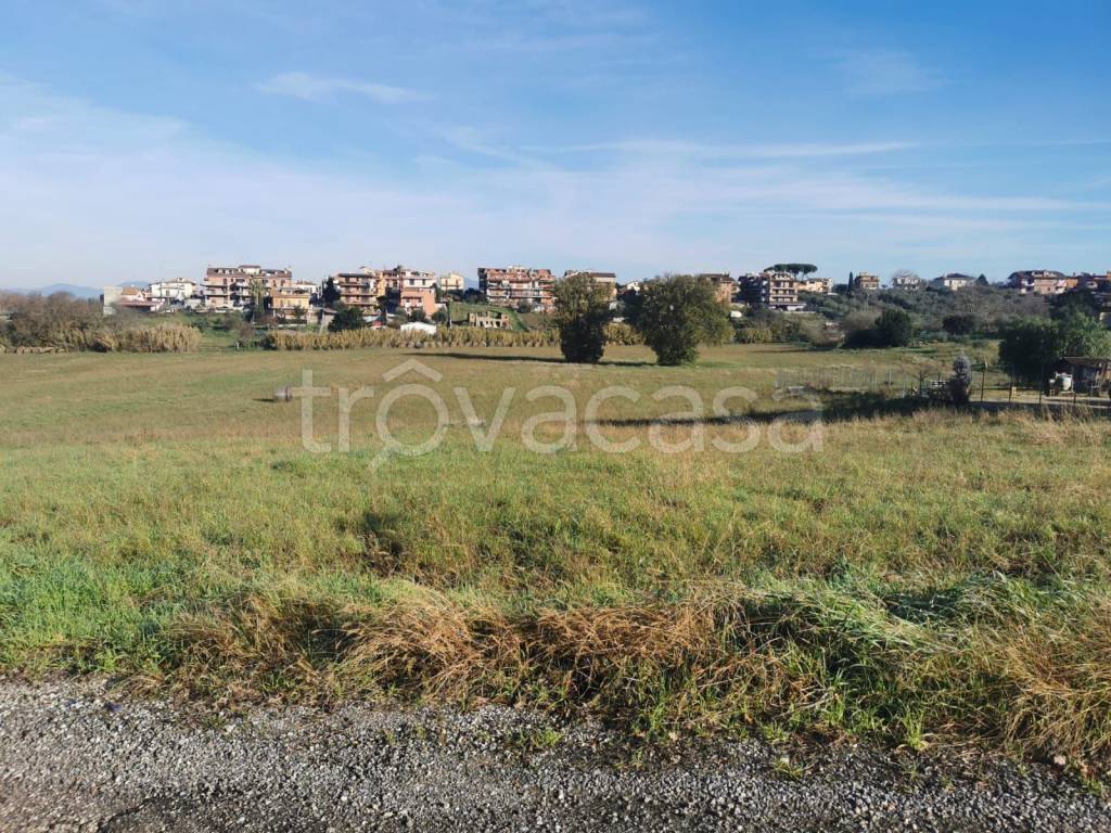 immagine annuncio 4 di 7