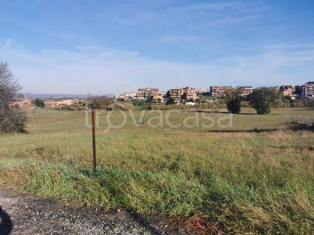 immagine annuncio 5 di 7