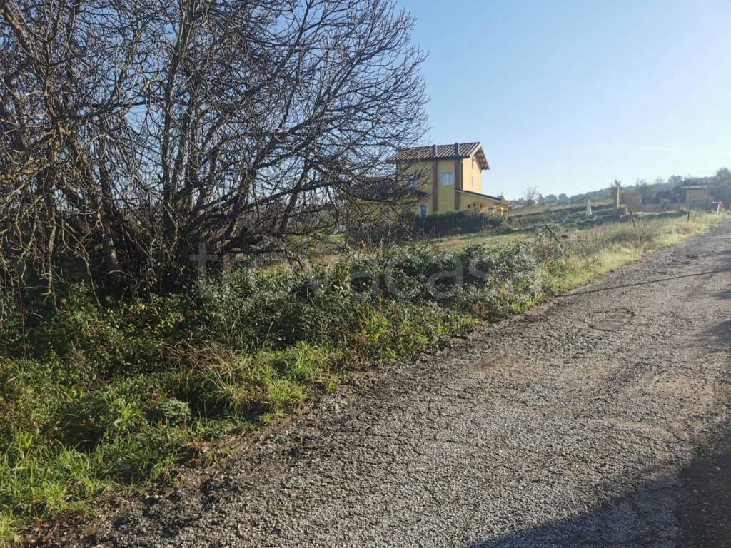 immagine annuncio 1 di 7