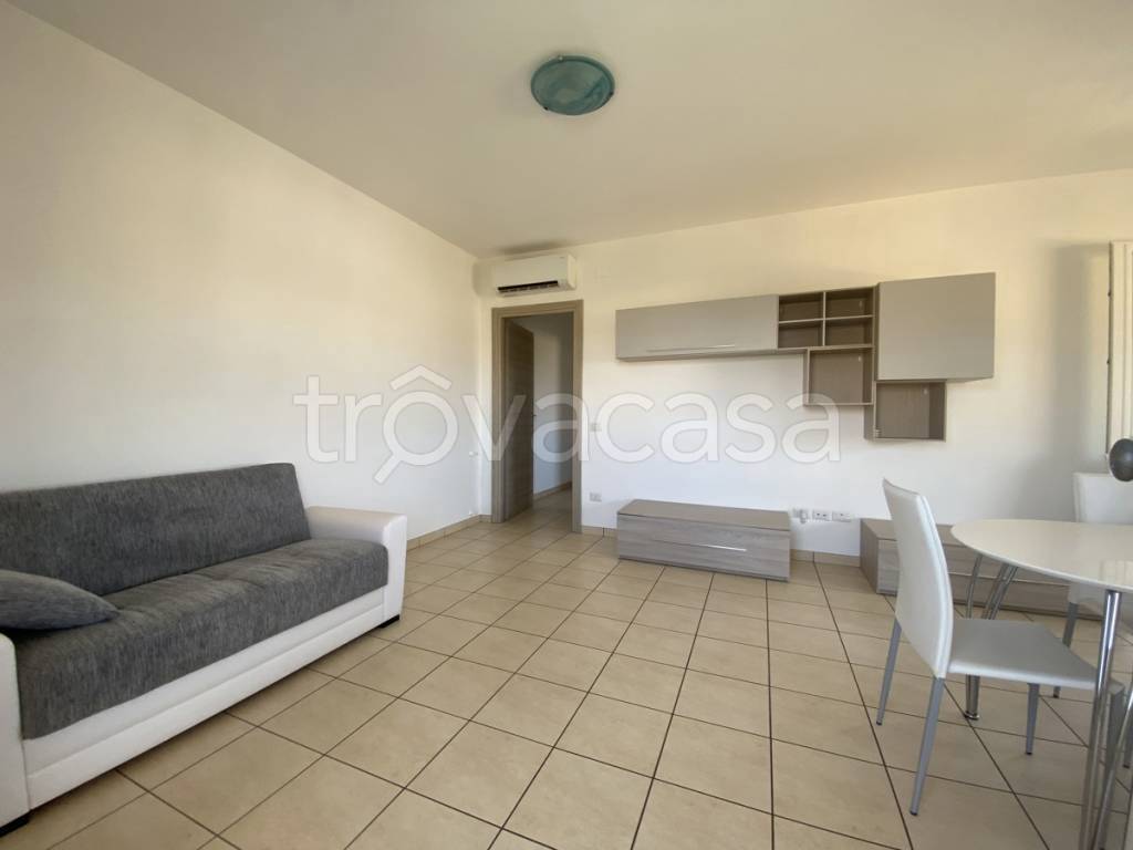 immagine annuncio 3 di 12