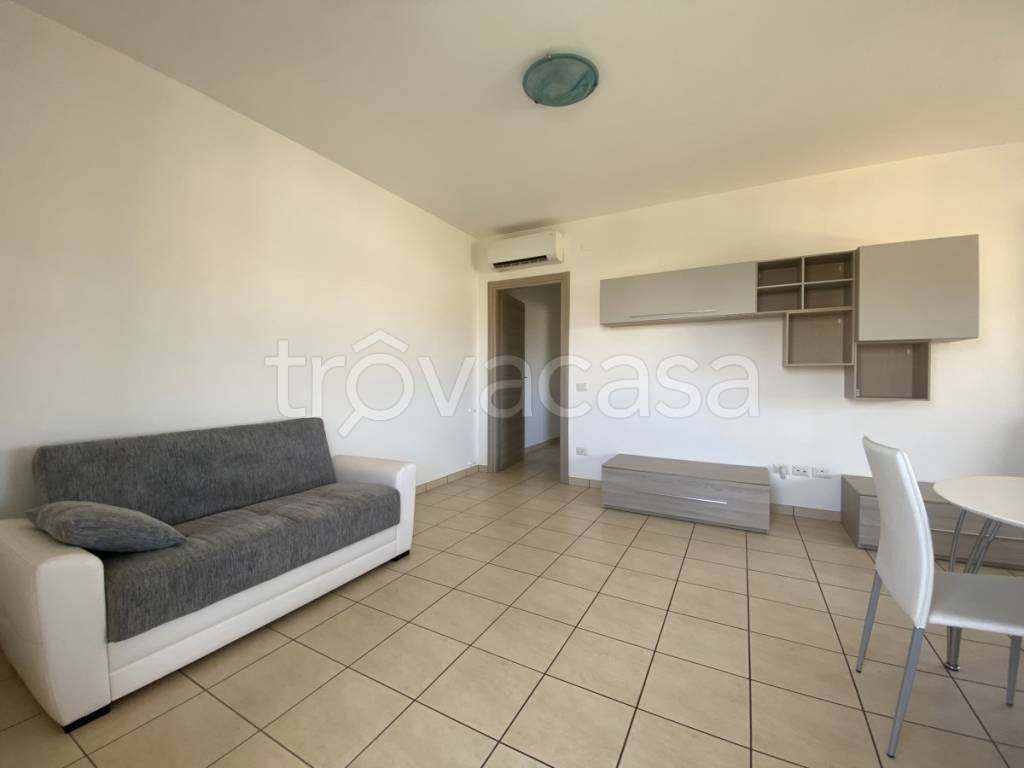 immagine annuncio 2 di 12