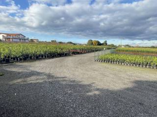 Terreno agricolo in vendita a milazzo via palmara