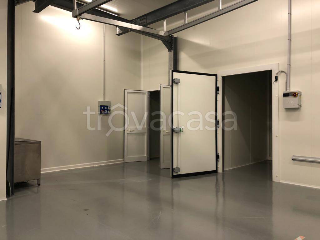 immagine annuncio 4 di 8