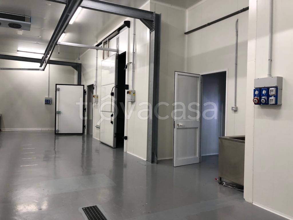 immagine annuncio 1 di 8