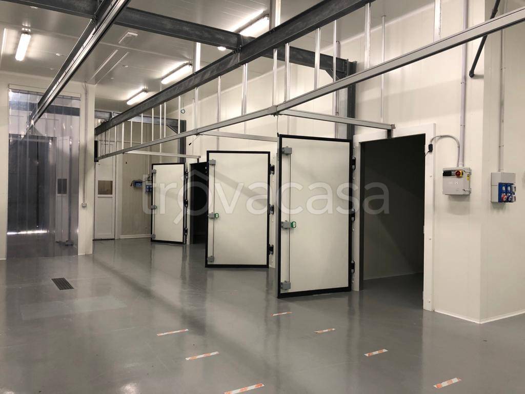 immagine annuncio 2 di 8