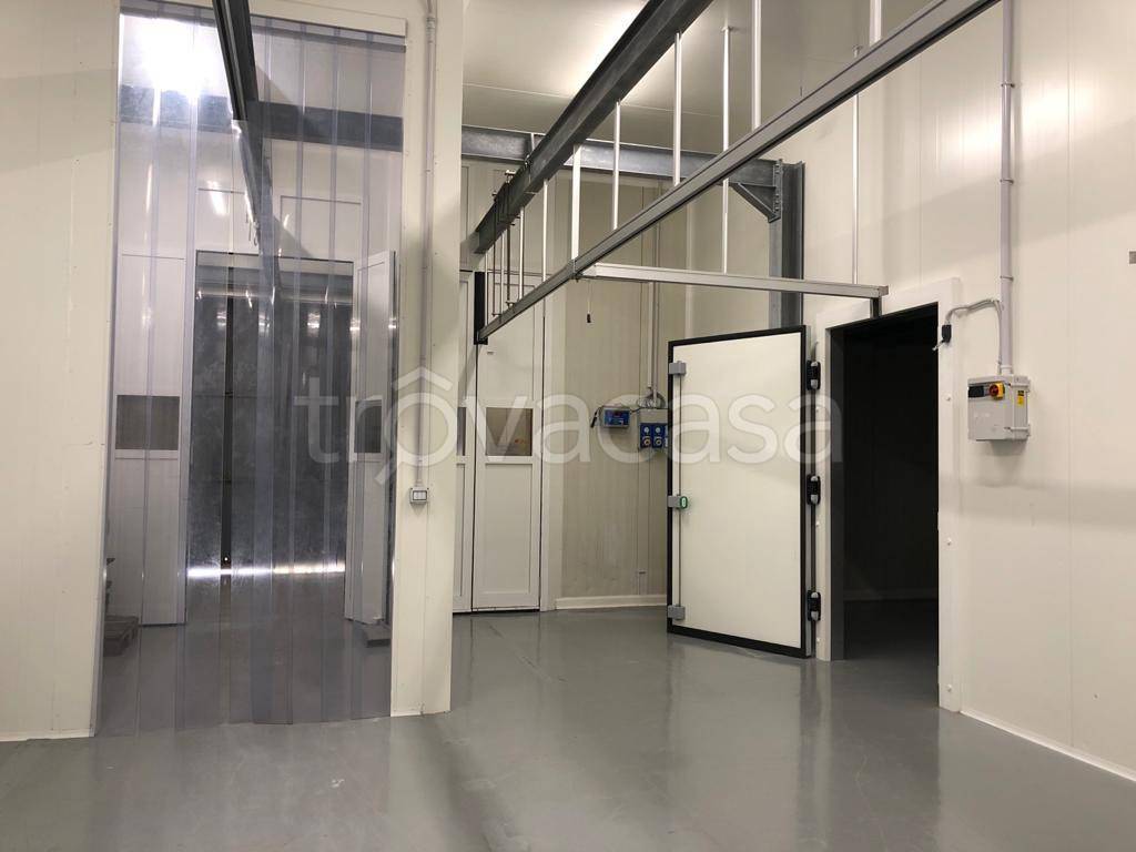 immagine annuncio 3 di 8