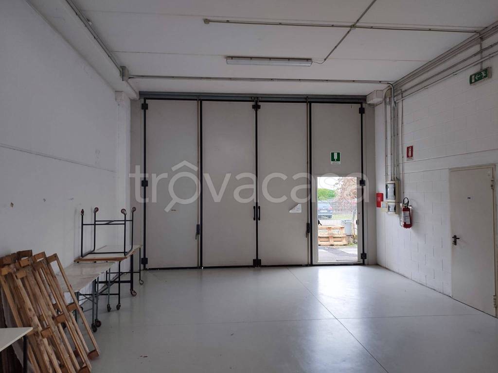 immagine annuncio 5 di 13