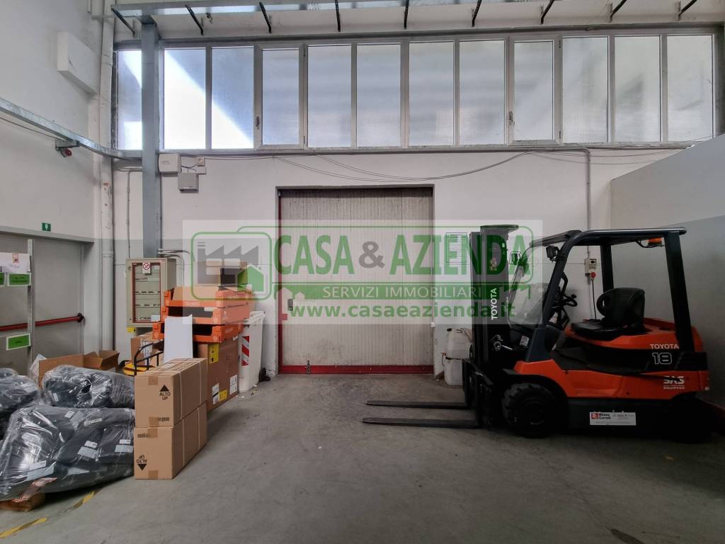 immagine annuncio 11 di 15