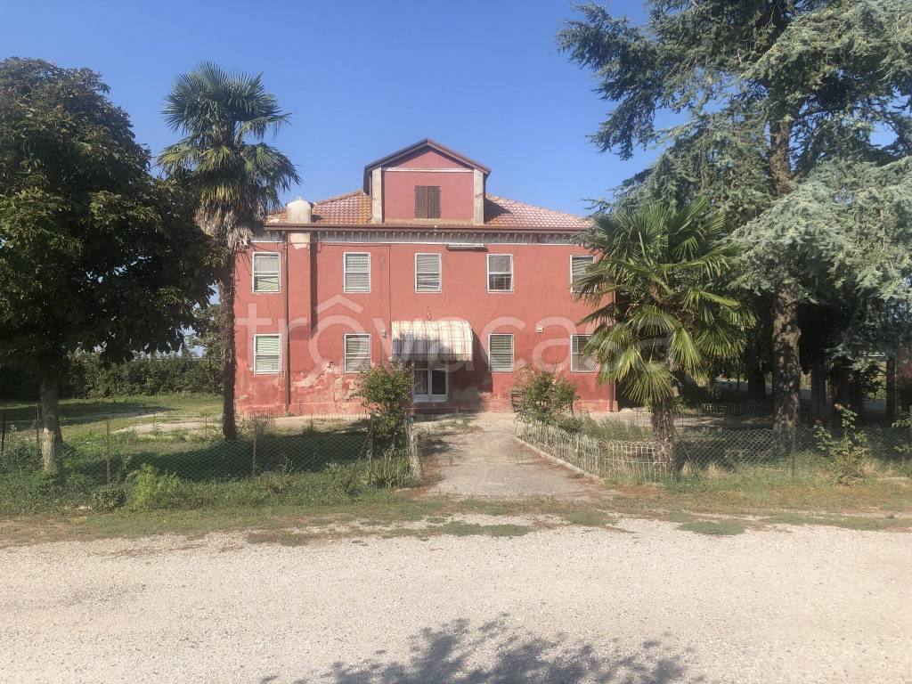 immagine annuncio 1 di 7