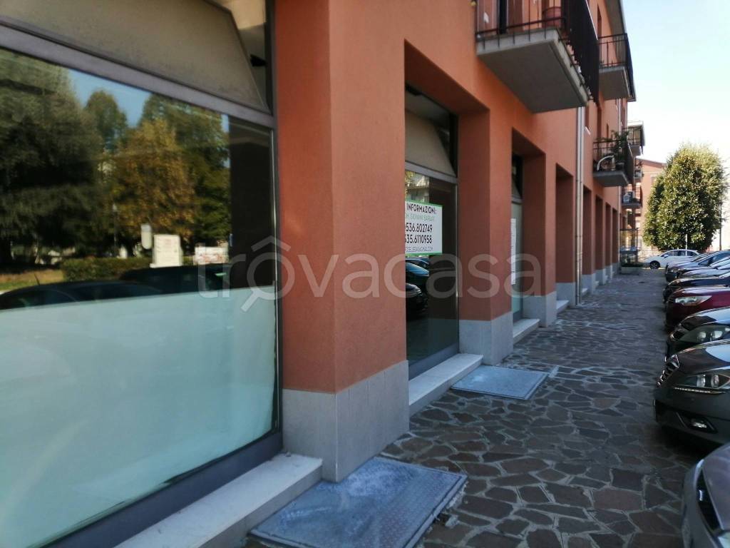 immagine annuncio 11 di 15