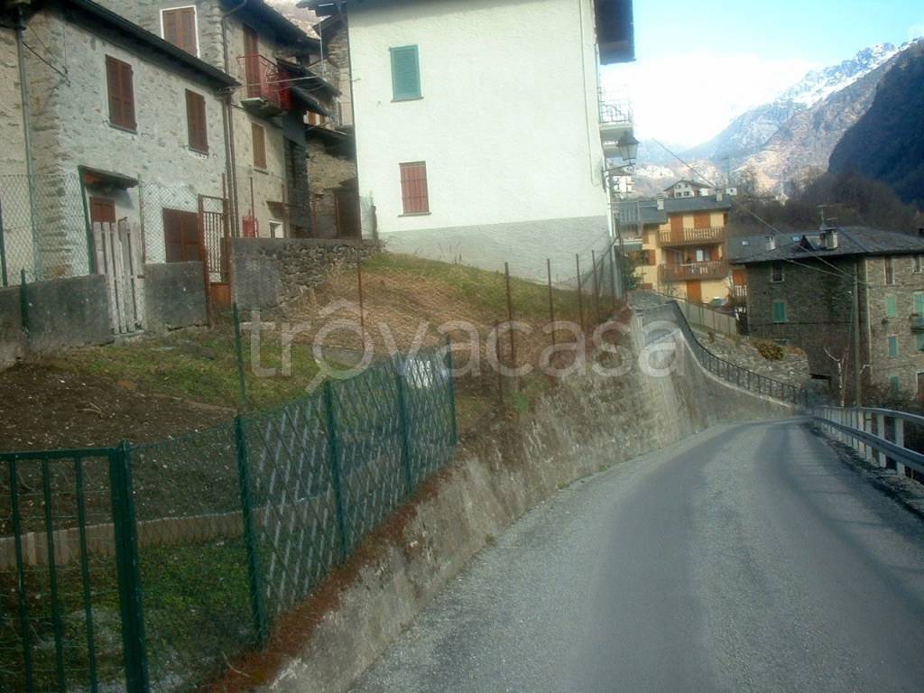 immagine annuncio 11 di 14