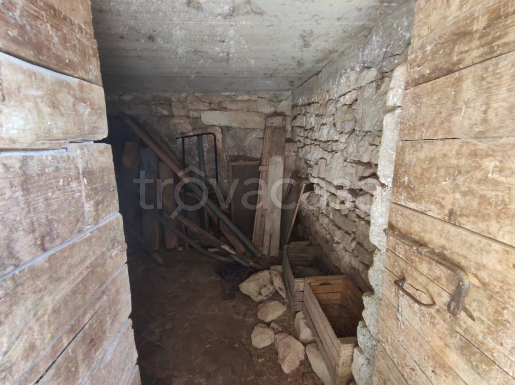 immagine annuncio 8 di 14