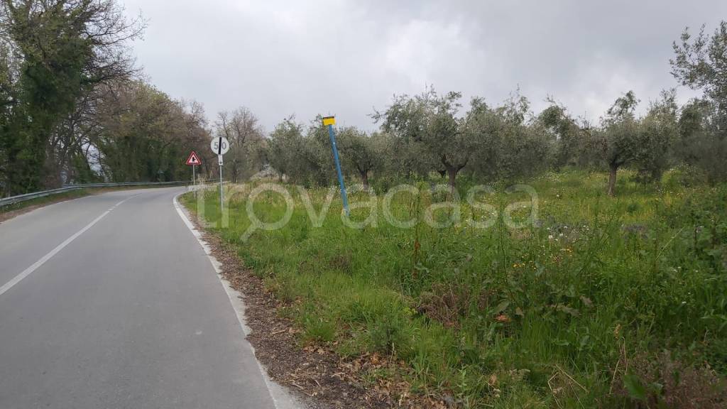 immagine annuncio 2 di 3