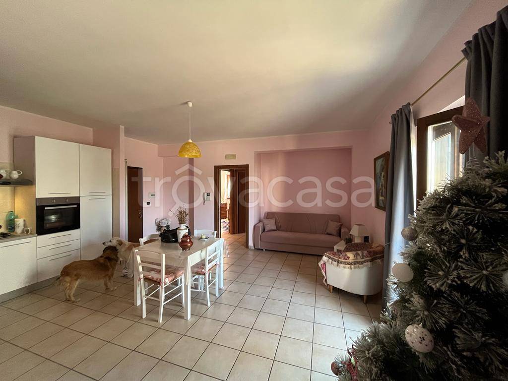 immagine annuncio 7 di 14